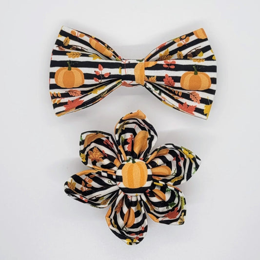 Striped Pumpkin Collar Flower + Bowtie