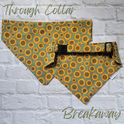 Neon Halloween Reversible Pet Bandana