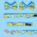 Load image into Gallery viewer, Lemon Floral Collar and Attachable Bow
