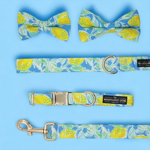 Lemon Floral Collar and Attachable Bow