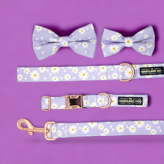 Purple Daisy Collar and Attachable Bow