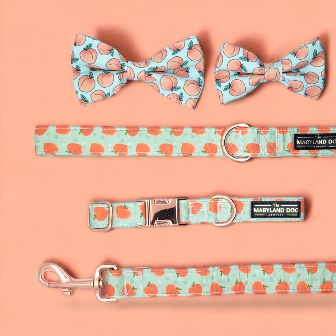 Peach Collar and Attachable Bow