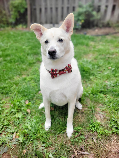 Wizards Collar and Attachable Bow Tie