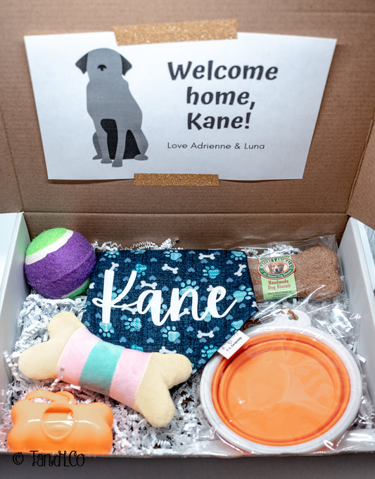 Dog Birthday Gift Box