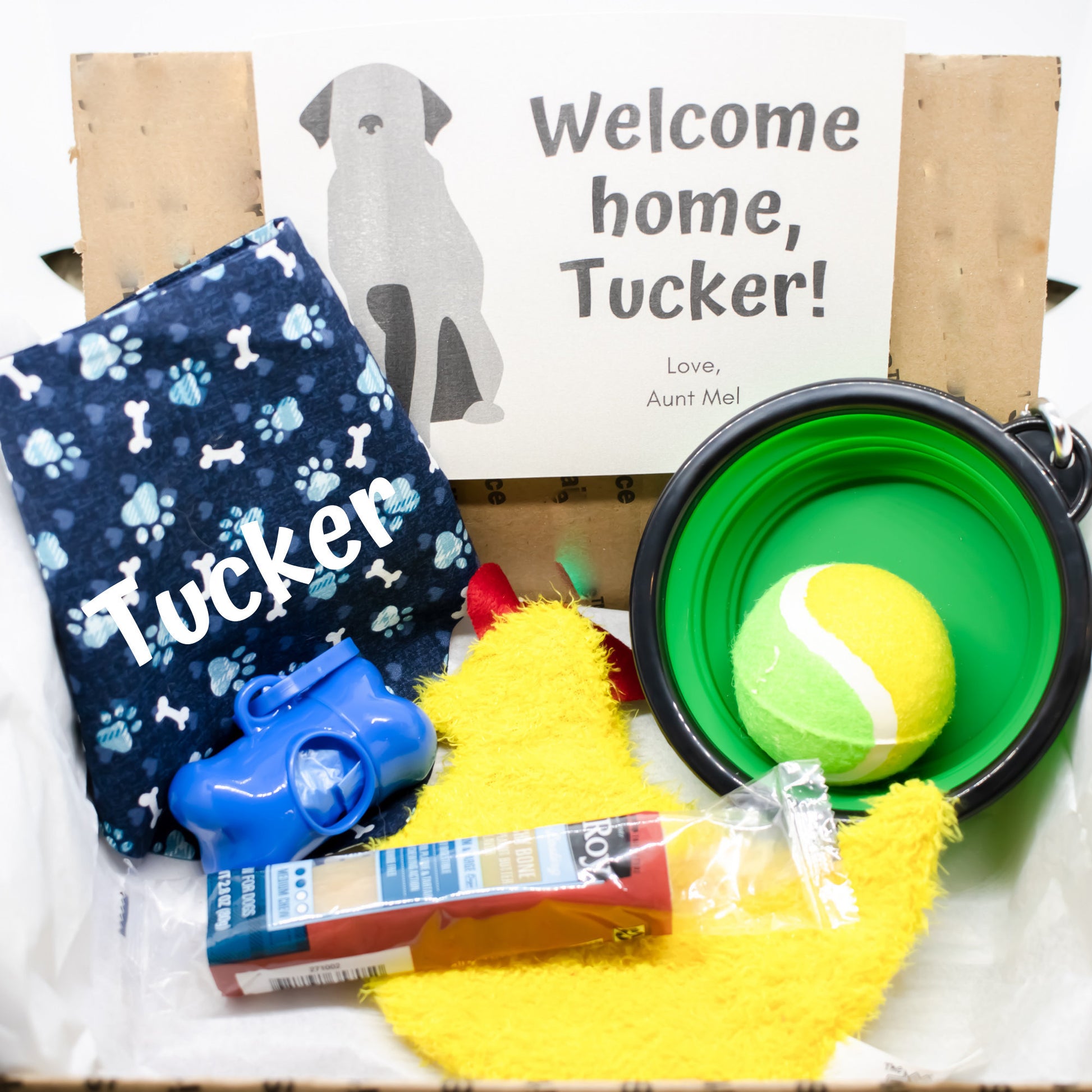 New Puppy Welcome Home Dog Gift Box (Boy or Girl) » Pampered Paw Gifts