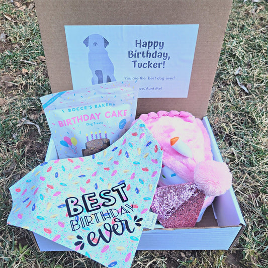 Dog Birthday Gift Box